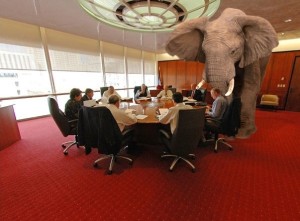elephant-in-the-room-e1375510078440